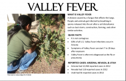 Valley Fever_image
