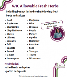 Screenshot 2026-02-24 155640