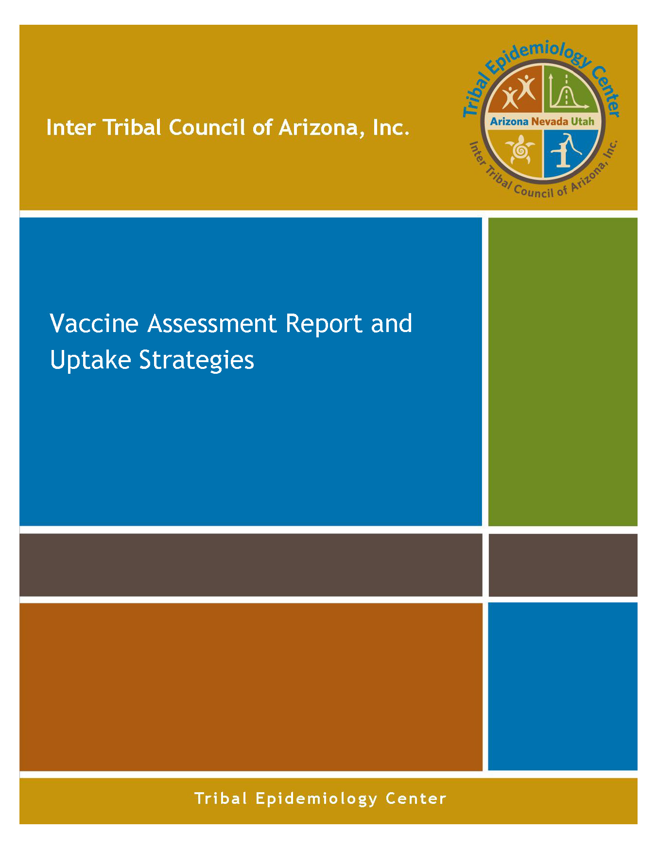 Vaccine Assessment and Strategies Report
